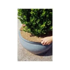 Kokos Afdekring - Ø 45 Cm -Outdoor Tuinonderhoudswinkel 1607082495 2 600