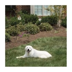 Pet Safe Outdoor Anti-blafhuisje -Outdoor Tuinonderhoudswinkel antiblafhuisje 1484054468 4 600