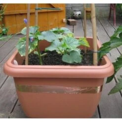 Anti-slakken Kopertape 4 M -Outdoor Tuinonderhoudswinkel antislakken kopertape 1484052941 3 600