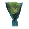 Beschermhoes Palmboom - Groen - 150 Cm