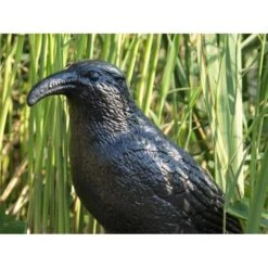 Duivenverjager Kraai -Outdoor Tuinonderhoudswinkel duivenverjager kraai 1484053985 3 600
