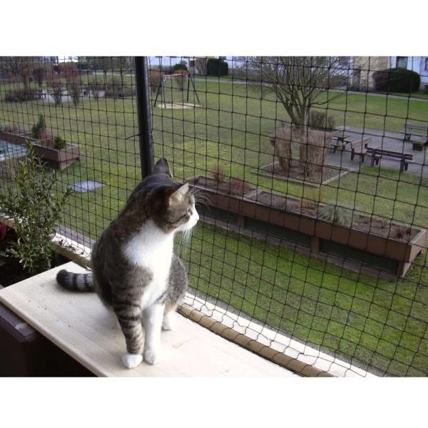 Kattennet 3 × 4 m Kattennet 3 × 4 M -Outdoor Tuinonderhoudswinkel kattennet 3 m x 4 m 1484065513 1 600