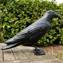 Duivenverjager Kraai Roepend -Outdoor Tuinonderhoudswinkel kraai met geluid 1523289337 4 600