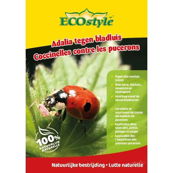 Lieveheersbeestjes tegen luizen - 50 larven Ecostyle Lieveheersbeestjes Tegen Luizen - 50 Larven -Outdoor Tuinonderhoudswinkel lieveheersbeestjes 50 larven 1616665011 1 600