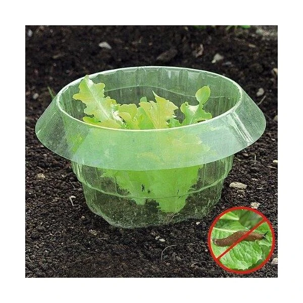 Slakken beschermringen - set van 6 stuks Slakken Beschermringen - Set Van 6 Stuks -Outdoor Tuinonderhoudswinkel slakken beschermingsringen 1484053655 1 600