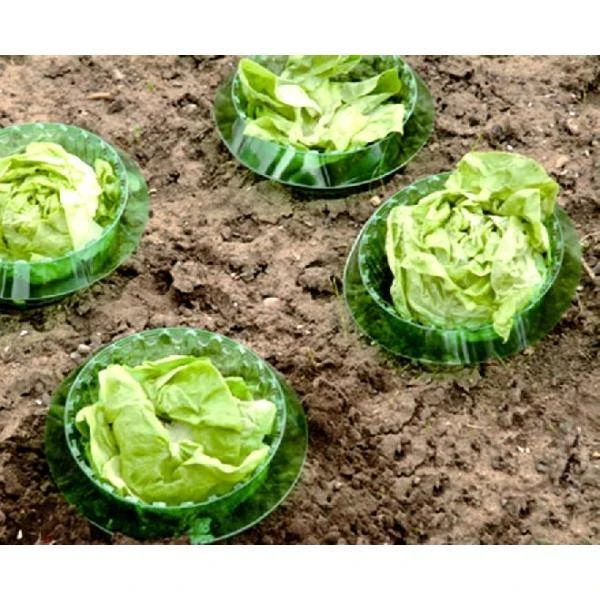 Slakken beschermringen - set van 6 stuks Slakken Beschermringen - Set Van 6 Stuks -Outdoor Tuinonderhoudswinkel slakken beschermingsringen 1484053655 2 600