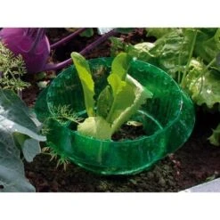 Slakken Beschermringen - Set Van 6 Stuks 2 Slakken Beschermringen - Set Van 6 Stuks -Outdoor Tuinonderhoudswinkel slakken beschermingsringen 1484053655 3 600