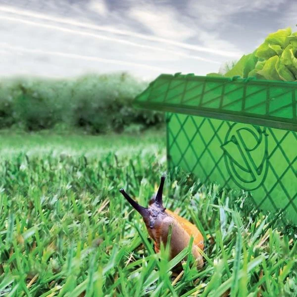 Slakkenweringsmuur 2 m + slakkentang Slakkenweringsmuur 2 M + Slakkentang -Outdoor Tuinonderhoudswinkel slakkenweringsmuur slakkentang 1484062648 1 600