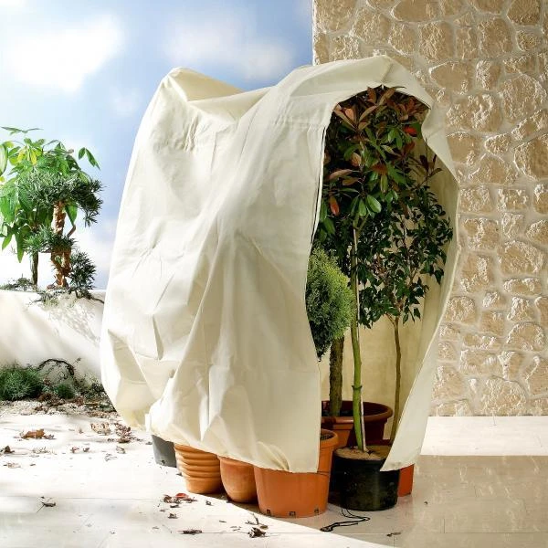 Thermobeschermhoes Jumbo voor planten - 240 × 200 cm Thermobeschermhoes Jumbo Voor Planten - 240 × 200 Cm -Outdoor Tuinonderhoudswinkel thermovorsthoes 240 x 200cm 1484053216 1 600