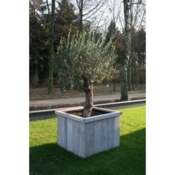 Thermobeschermhoes Jumbo Voor Planten - 240 × 200 Cm 3 Thermobeschermhoes Jumbo Voor Planten - 240 × 200 Cm -Outdoor Tuinonderhoudswinkel thermovorsthoes 240 x 200cm 1484053216 3 600
