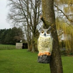 Uil Front - Vogelverschrikker -Outdoor Tuinonderhoudswinkel uil front vogelverschrikker 1523282297 1 600