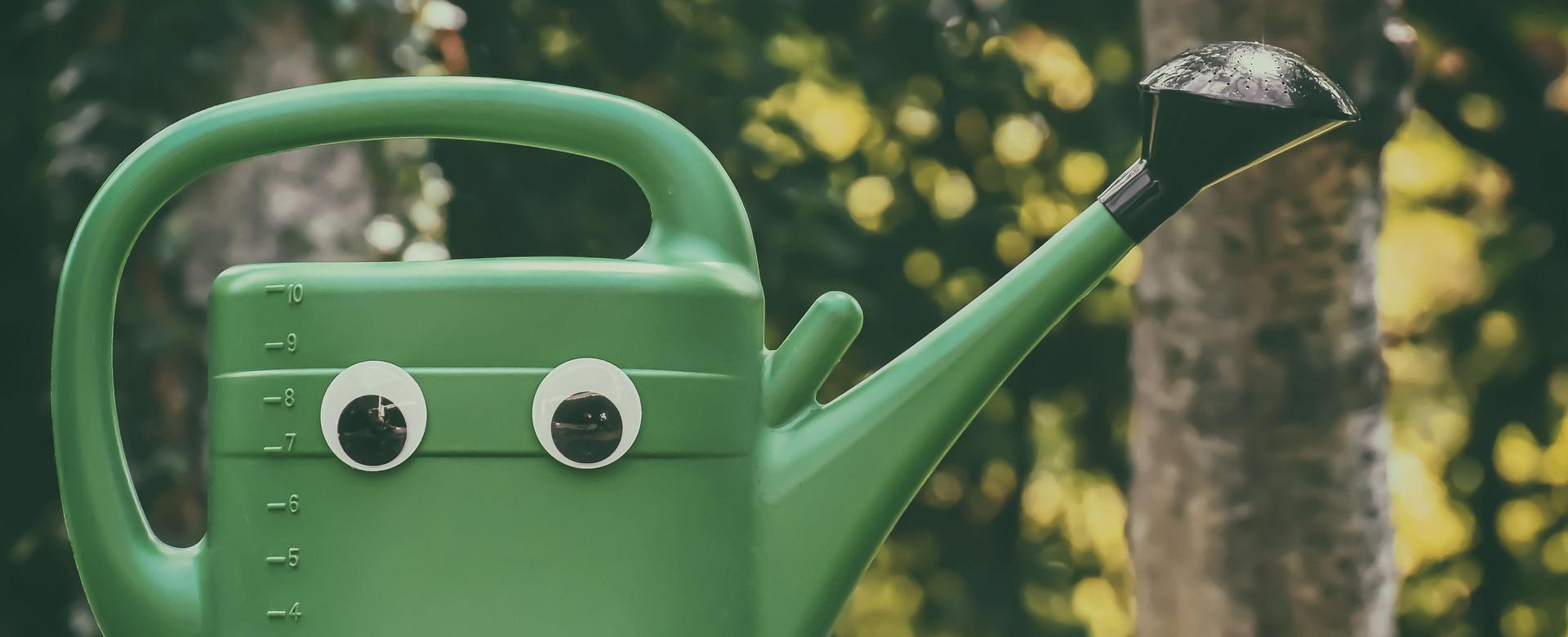 Outdoor Tuinonderhoudswinkel 12 Outdoor Tuinonderhoudswinkel -Outdoor Tuinonderhoudswinkel watering can 5346272 1920