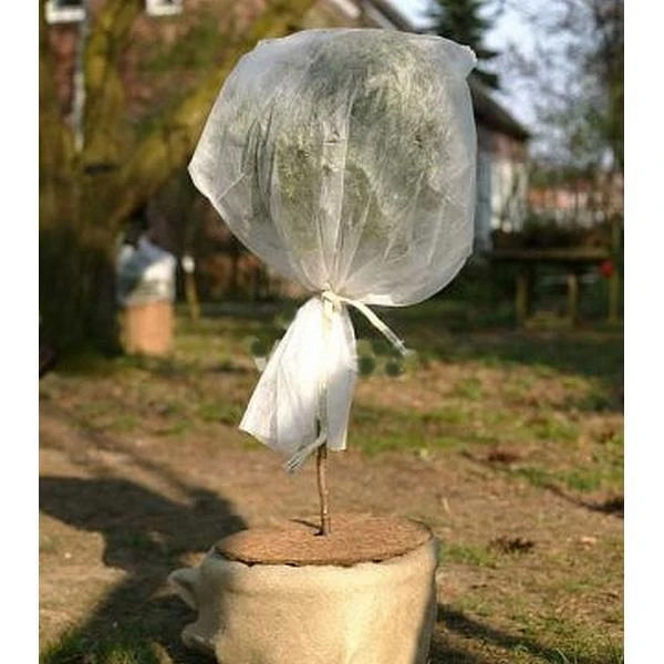 Vorsthoes rozen - 80 × 75 cm - set van 2 stuks Vorsthoes Rozen - 80 × 75 Cm - Set Van 2 Stuks -Outdoor Tuinonderhoudswinkel wintervlies rozen 1484052790 1 600