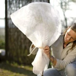 Vorsthoes Rozen - 80 × 75 Cm - Set Van 2 Stuks 2 Vorsthoes Rozen - 80 × 75 Cm - Set Van 2 Stuks -Outdoor Tuinonderhoudswinkel wintervlies rozen 1486656722 0 600